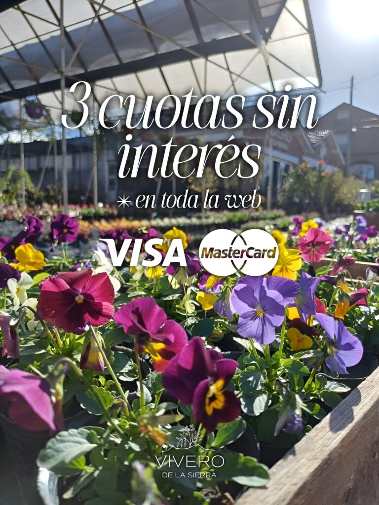 3 cuotas sin interes